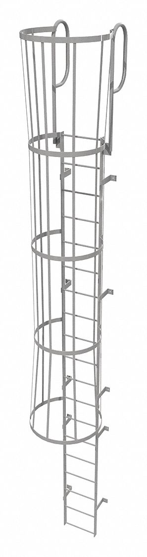 Fixed Ladder w/ Safety Cage Steel 18 ft.