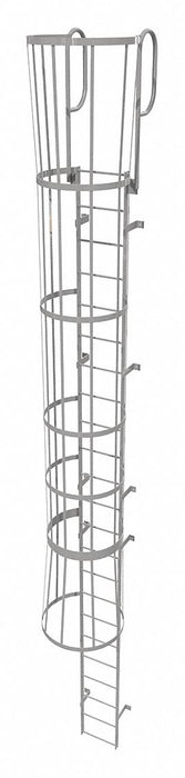 Fixed Ladder w/ Safety Cage Steel 22 ft.