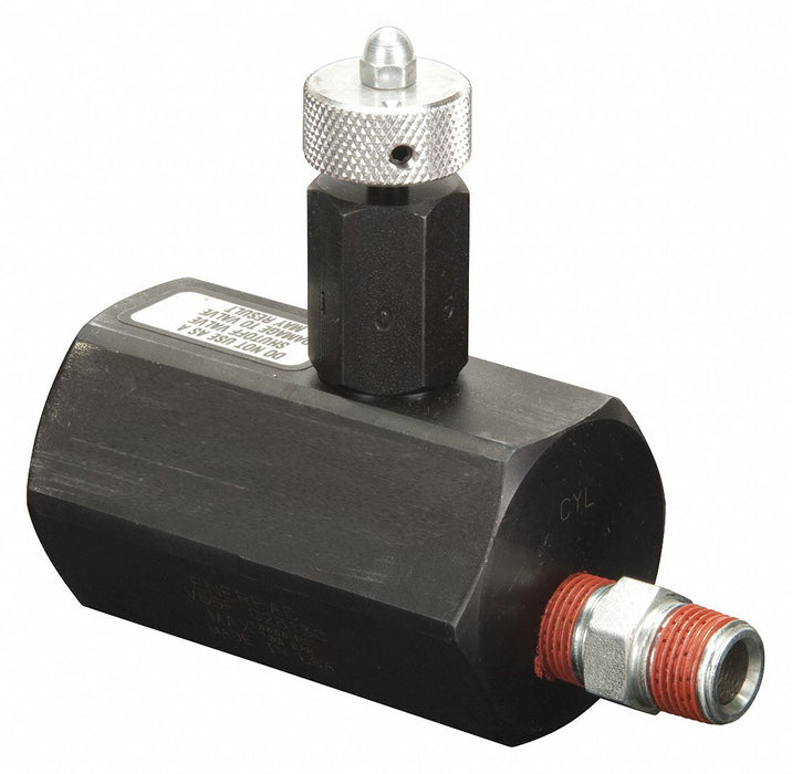 Check Valve 4 gpm 3/8 in NPT