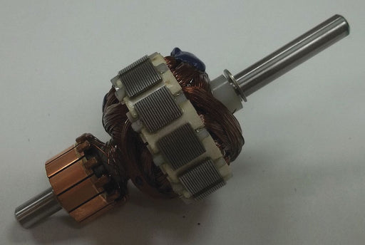 Armature with Retaining Ring 120V
