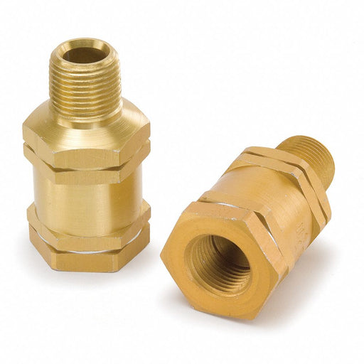 Check Valve Assembly Swing