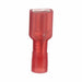 WireDisconnect Brass Red Nylon PK100
