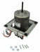 Motor Assembly