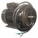 Motor Assembly