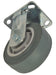 Polyolefin Caster Rigid 5 In