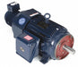 Motor 25 HP 1765 rpm 284TC 230/460V