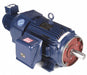 Motor 20 HP 1160 rpm 286TC 230/460V