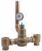 Mixing Valve Lead Free Brass 125 psi