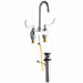 Gooseneck Chrome Chicago Faucets 894