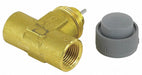 NPT Valve 2 Way