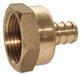 Brass PEX x Female Adapter 1/2 x1/2 