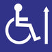 Handicap Labels 6 in x 6 in PK2