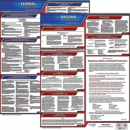 Labor Law Poster English AZ Plastic