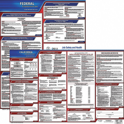 Labor Law Poster English CA Plastic