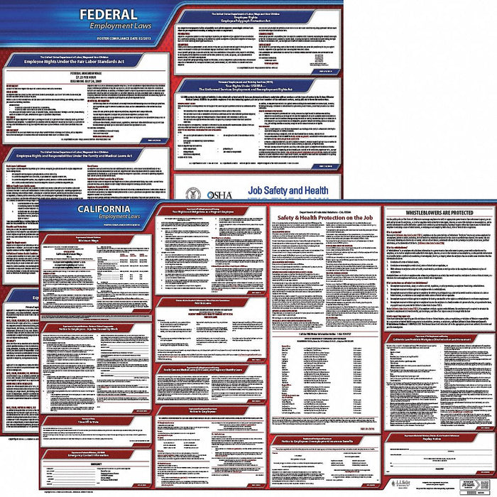 Labor Law Poster English CA Plastic