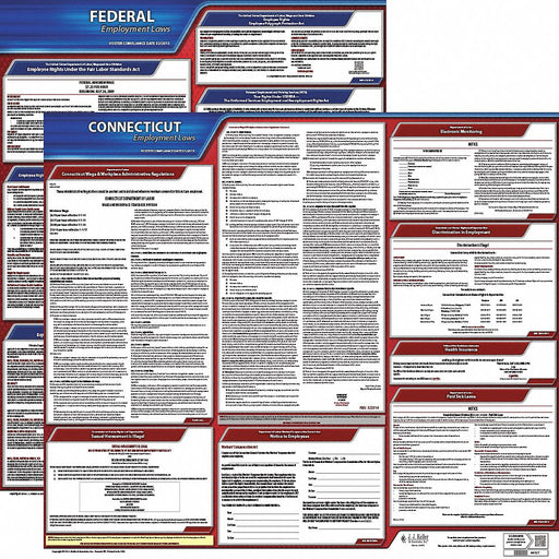 Labor Law Poster English CT Plastic