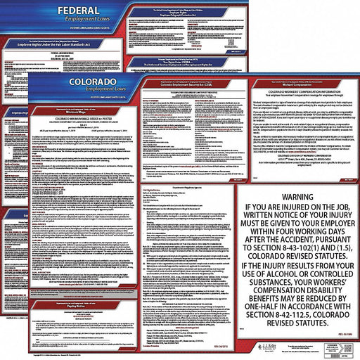 Labor Law Poster English CO Plastic