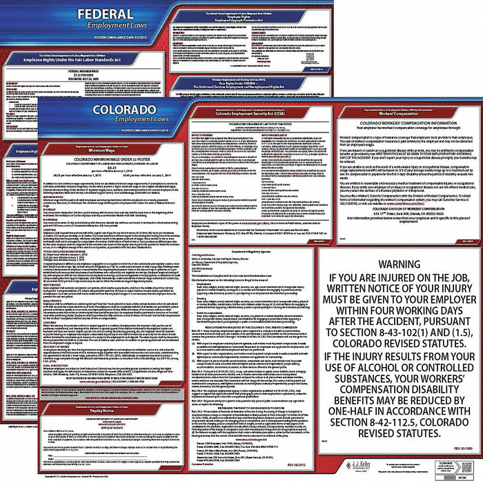 Labor Law Poster English CO Plastic