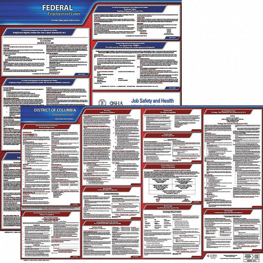 Labor Law Poster English DC Plastic