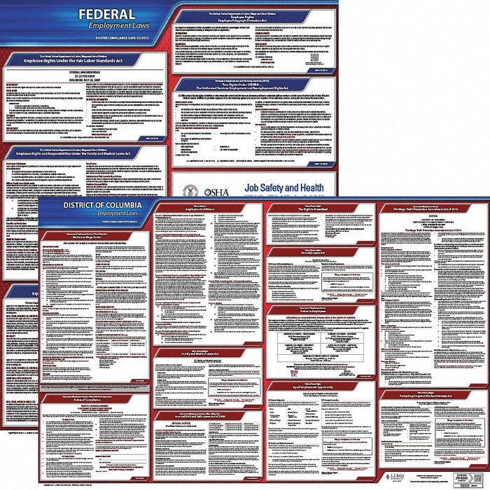 Labor Law Poster English DC Plastic