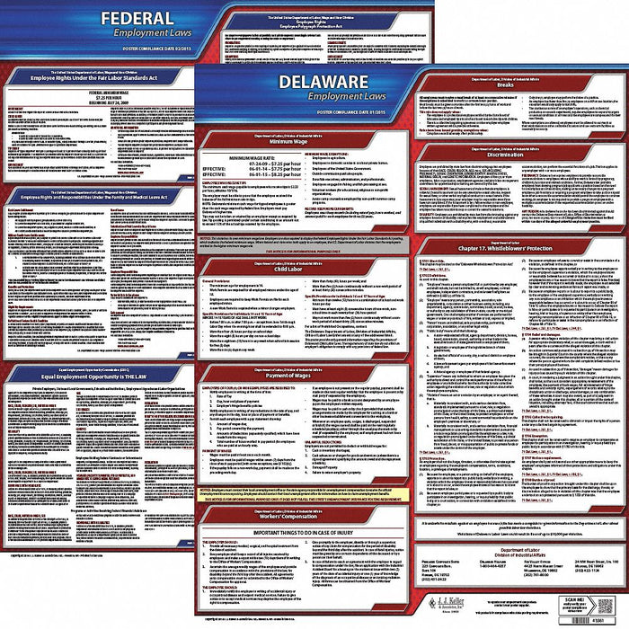 LaborLaw Poster Fed/STA DE ENG 20inH 1yr