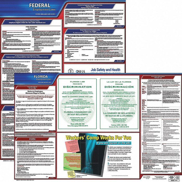LaborLaw Poster Fed/STA FL ENG 20inH 1yr