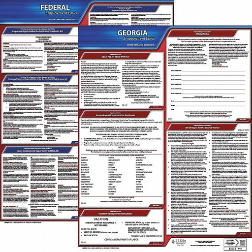 Labor Law Poster English GA Plastic