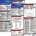 Labor Law Poster English GA Plastic