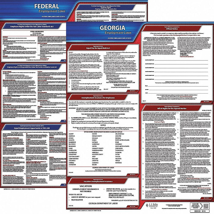 LaborLaw Poster Fed/STA GA ENG 20inH 1yr