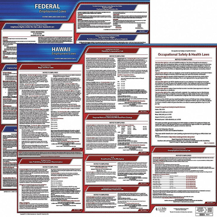 LaborLaw Poster Fed/STA HI ENG 20inH 1yr