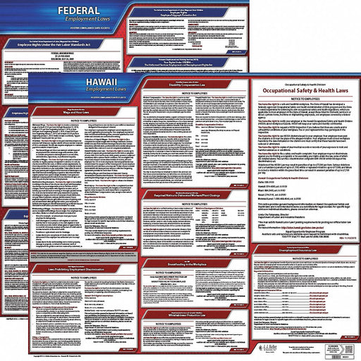 Labor Law Poster English HI Plastic