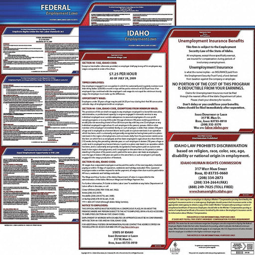 LaborLaw Poster Fed/STA ID ENG 20inH 1yr