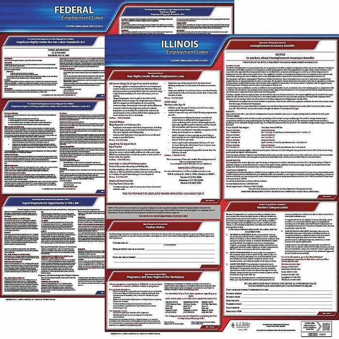 LaborLaw Poster Fed/STA IL ENG 20inH 1yr