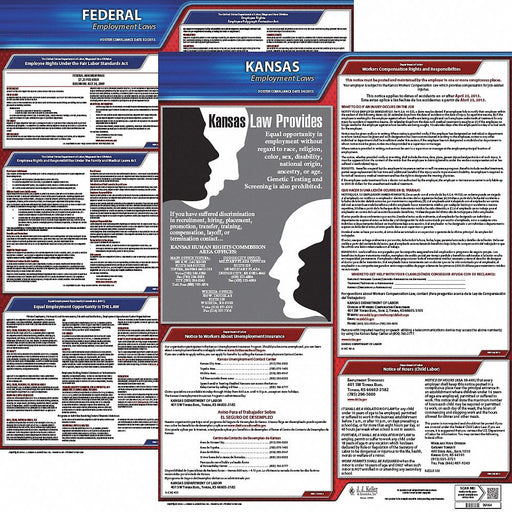 LaborLaw Poster Fed/STA KS ENG 20inH 1yr