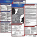 Labor Law Poster Kit KS English 19 in W