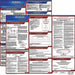 Labor Law Poster English MI Plastic