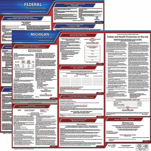 LaborLaw Poster Fed/STA MN ENG 20inH 1yr