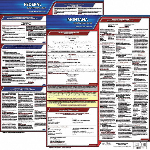 Labor Law Poster Kit MT English 19 in W