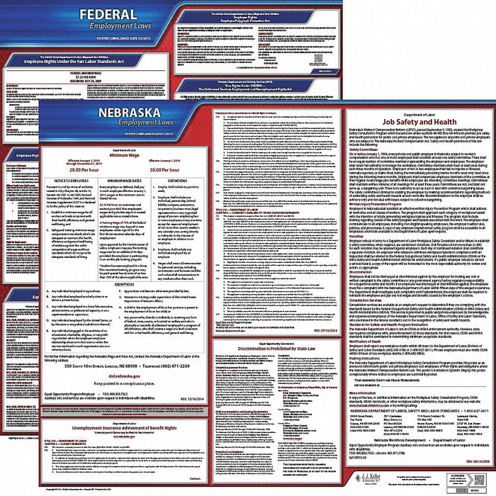LaborLaw Poster Fed/STA NE ENG 20inH 3yr