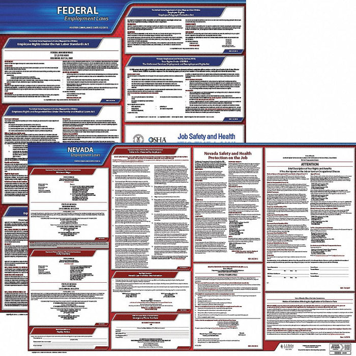 LaborLaw Poster Fed/STA NV ENG 20inH 3yr
