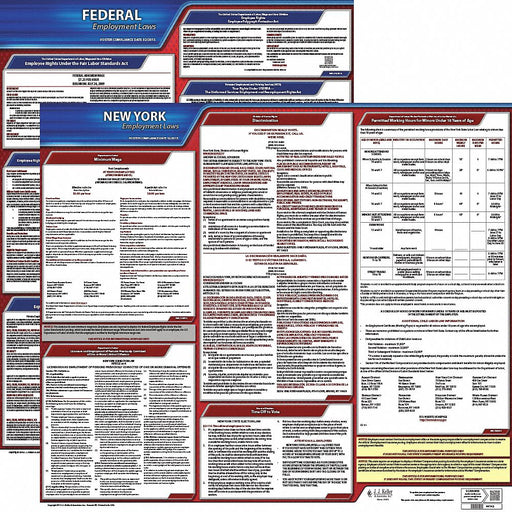 Labor Law Poster English NY Plastic