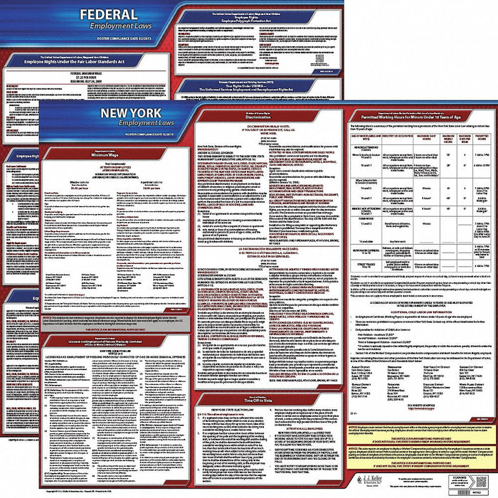 Labor Law Poster English NY Plastic