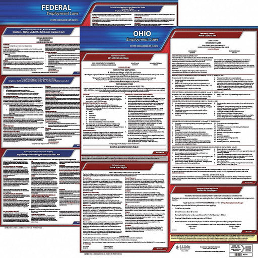 Labor Law Poster English OH Plastic