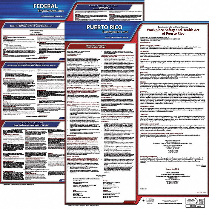 LaborLaw Poster Fed/STA PR ENG 20inH 3yr