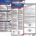LaborLaw Poster Fed/STA PR ENG 20inH 3yr