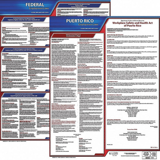 Labor Law Poster Kit PR English 19 in W