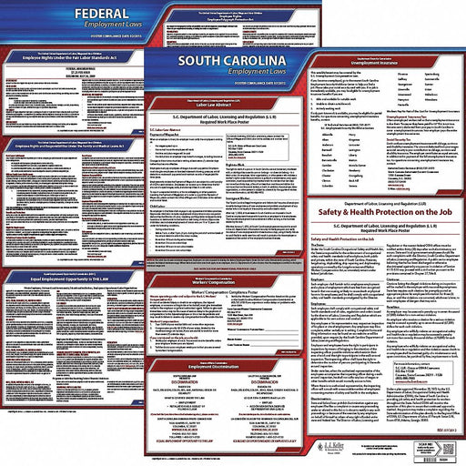 Labor Law Poster English SC Plastic