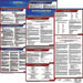 Labor Law Poster English SC Plastic