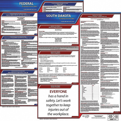 Labor Law Poster Kit SD English 19 in W