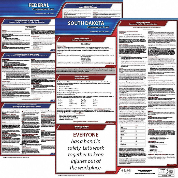 Labor Law Poster Kit SD English 19 in W
